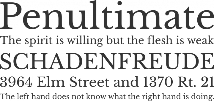 Free Baskerville Bold Font Download